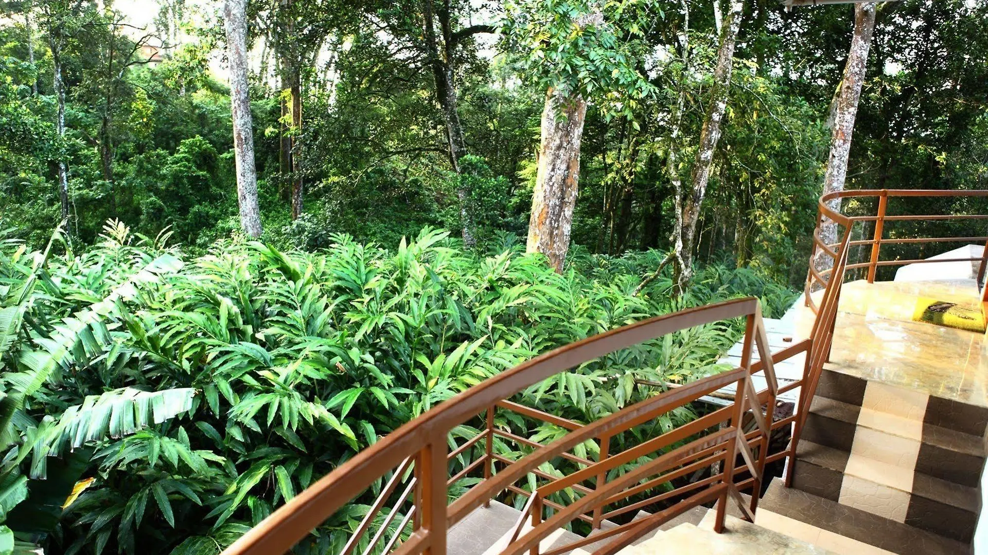 Alloggio in famiglia Green Shades Munnar India
