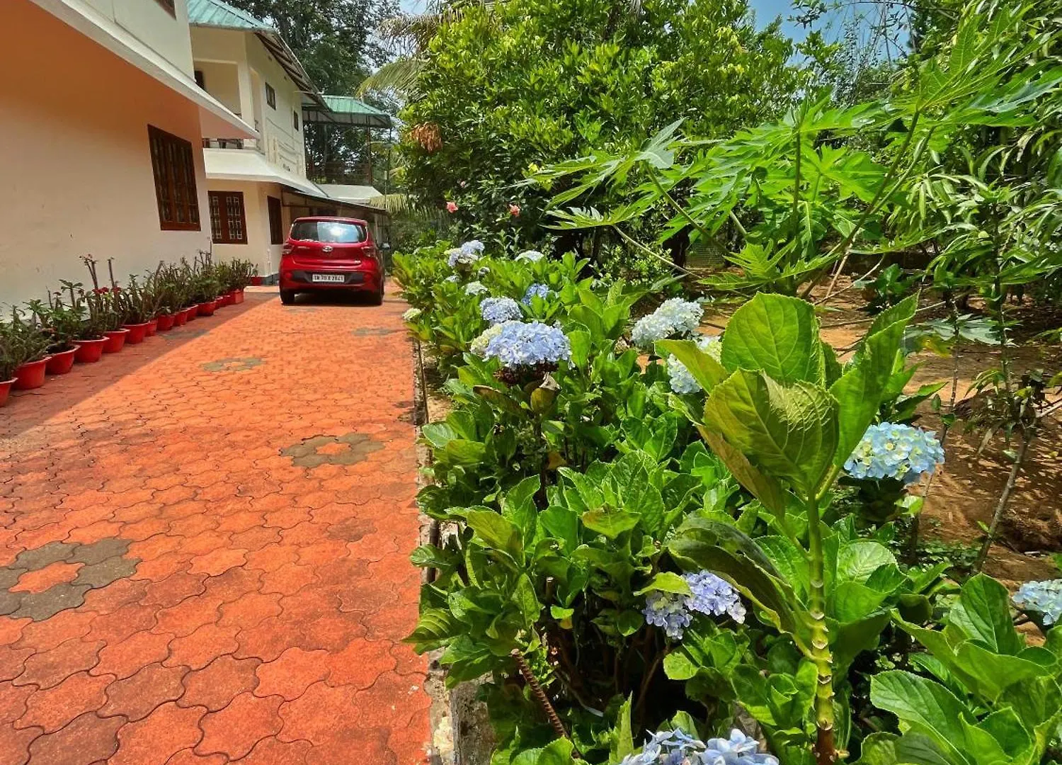 Green Shades Munnar