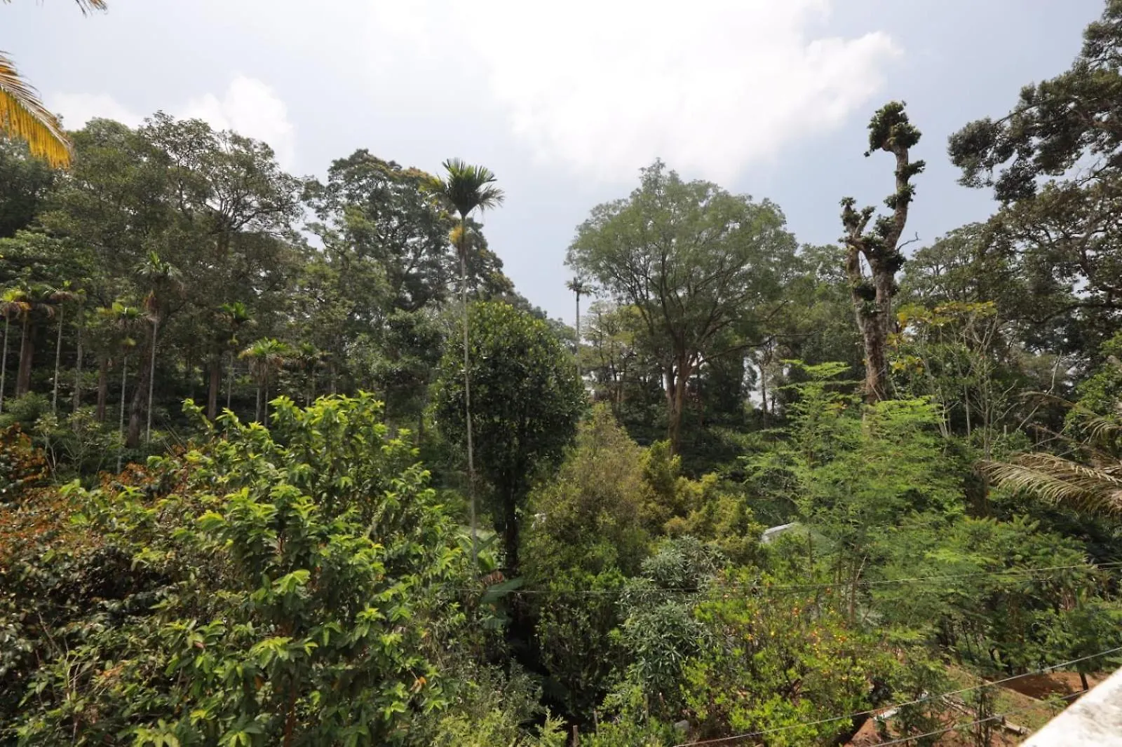 Privatunterkunft Green Shades Munnar