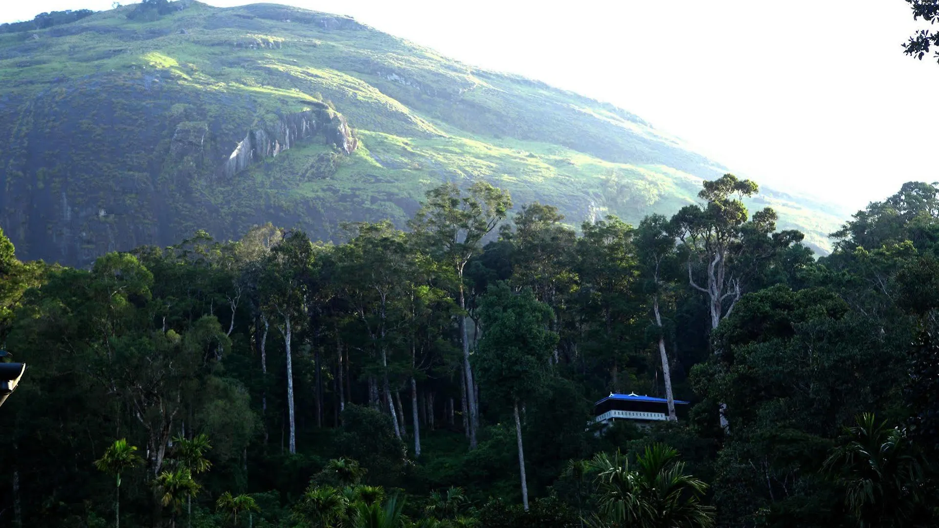 Privatunterkunft Green Shades Munnar